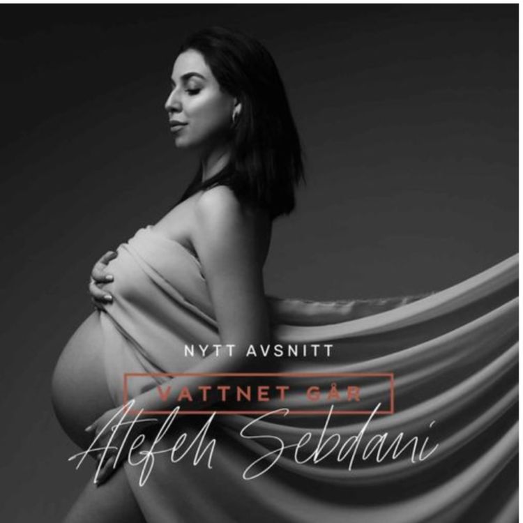 cover art for 1005: Vattnet Går: Atefeh Sebdani "Mina barn hjälpte mig läka"