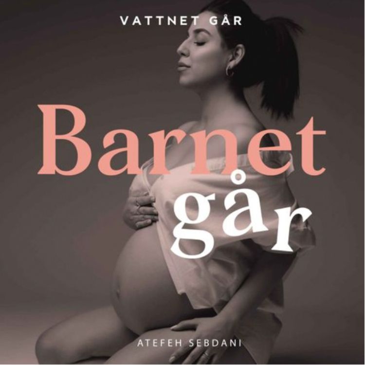 cover art for 1006: Barnet Går: Atefeh Sebdani "Jag var livrädd över att bli förälder"