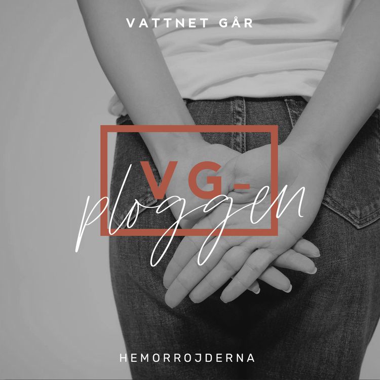 cover art for 309. VG-ploggen - Hemorrojder