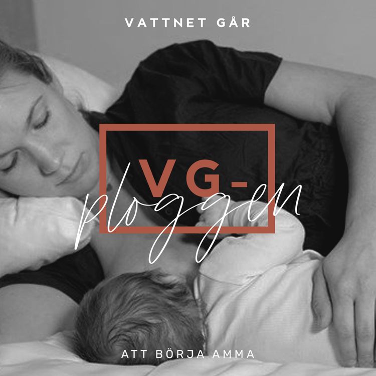 cover art for 272. VG-ploggen, "Det är väl bara att amma eller?"