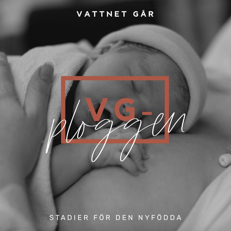 cover art for 255. VG-ploggen - "Den nyföddas första stadier"