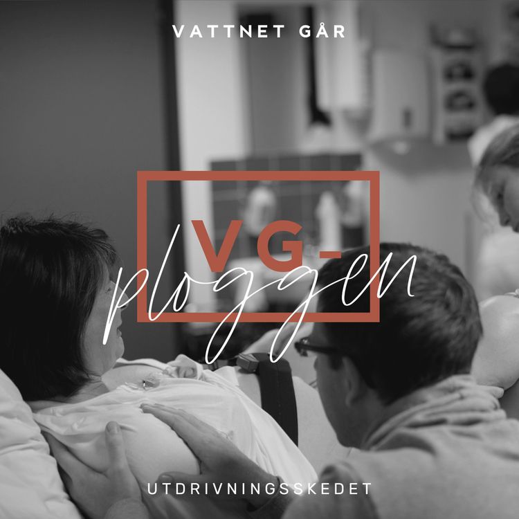 cover art for 232. VG-ploggen, 'Utdrivningsskedet'