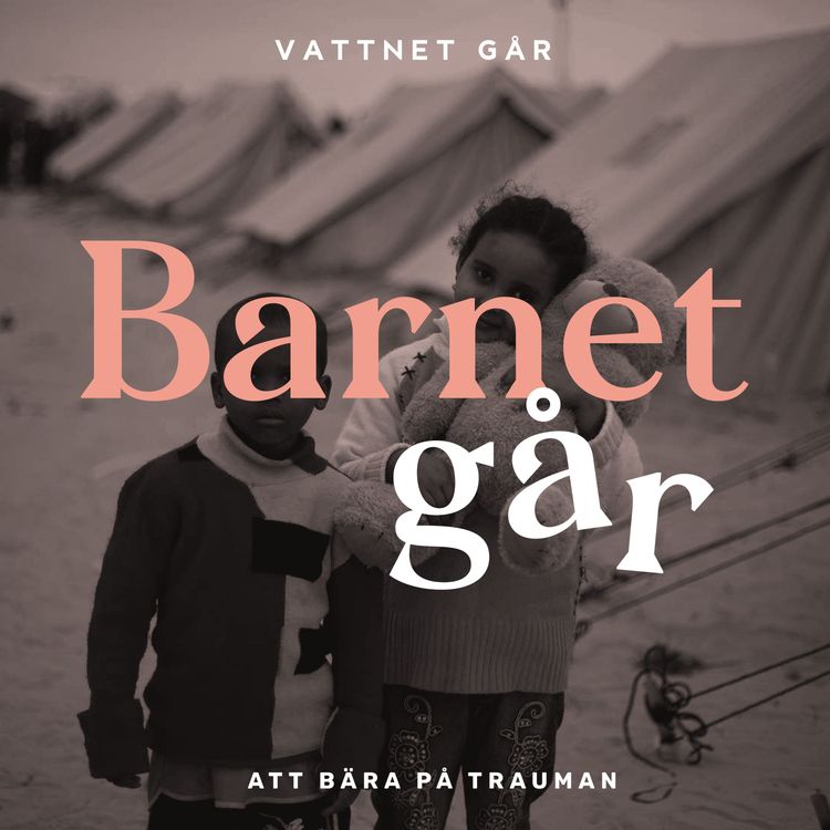 cover art for 228  Barnet Går - Sarah Delshad, "Att navigera genom trauman"
