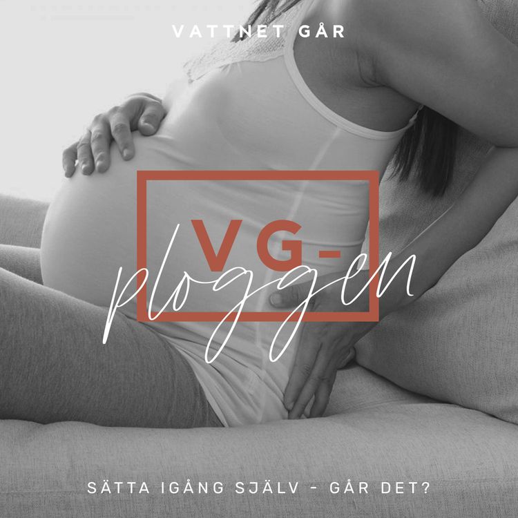 cover art for 211. VG-ploggen - "Att sätta igång - funkar det?"