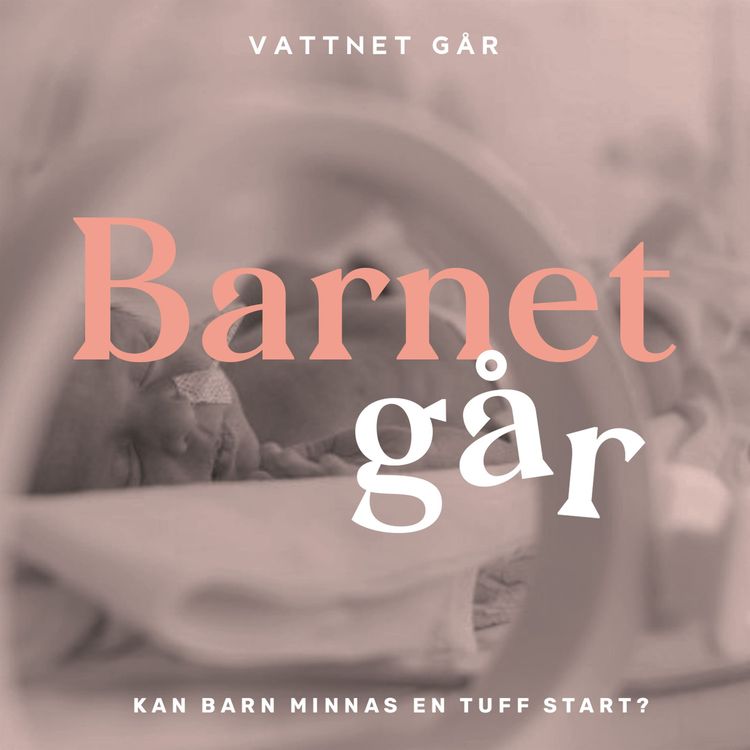 cover art for 210. Barnet Går - Jenny Höglund, "Kan mitt barn minnas en tuff start?"
