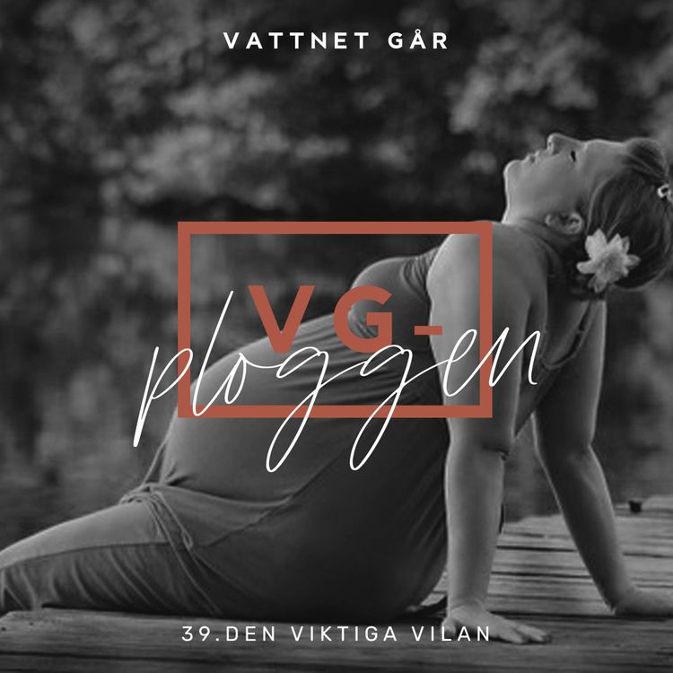 cover art for 172. VG-ploggen "Den viktiga vilan"
