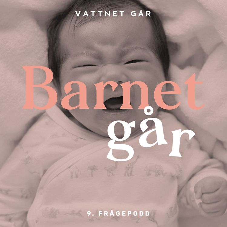 cover art for 162. Barnet Går - "Varför sover inte mitt barn och andra frågor!"