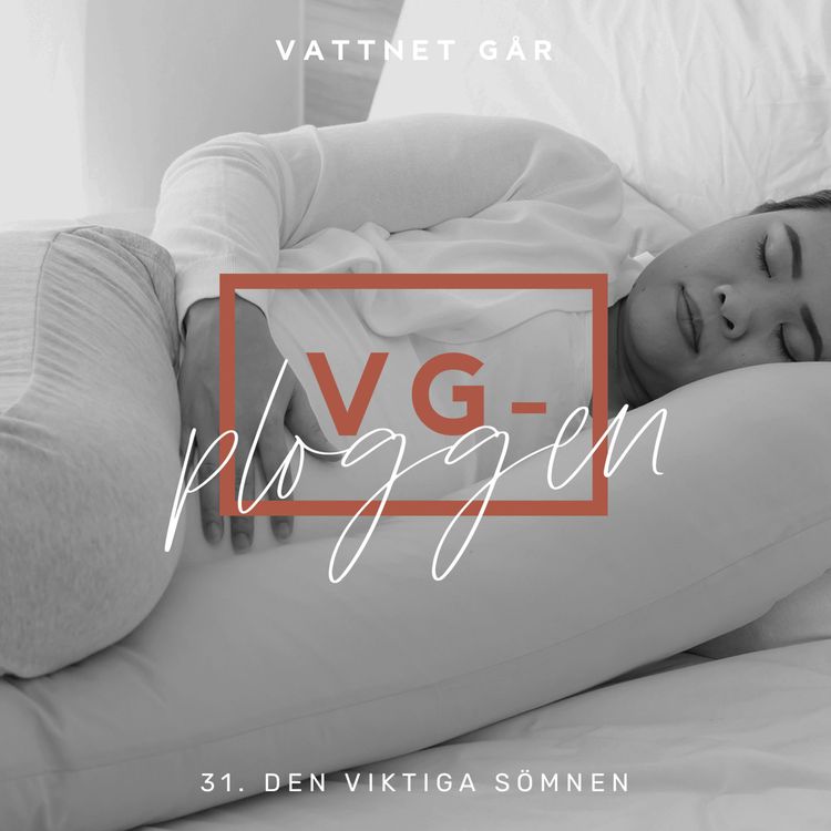 cover art for 148.VG-Ploggen, "Den viktiga sömnen"