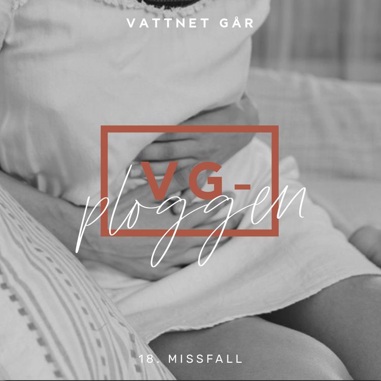 cover art for 113. VG-ploggen, Om Missfall