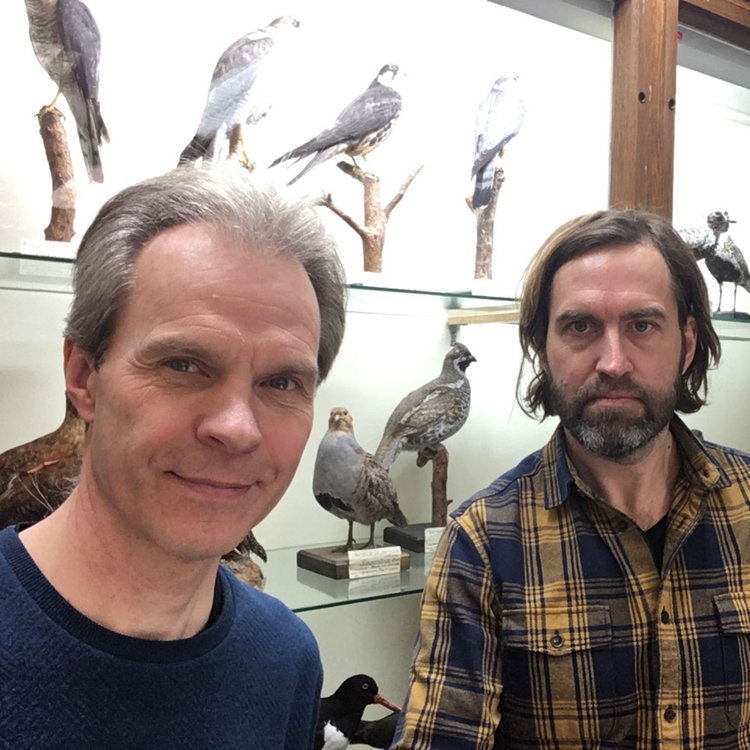 cover art for # 11 Dennis Hasselquist: professor i zooekologi och fågelforskare