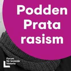 cover art for Prata rasism