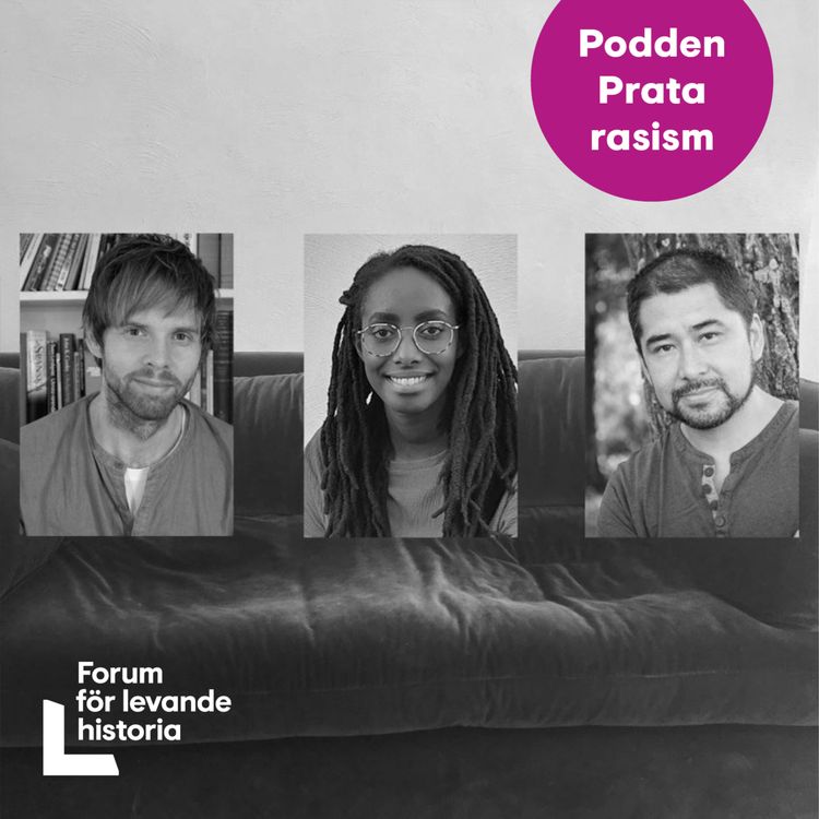 cover art for Arbete mot rasism i skolan