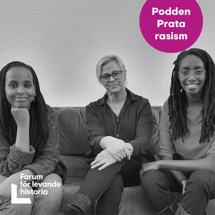 cover art for Rasistiskt hat på nätet