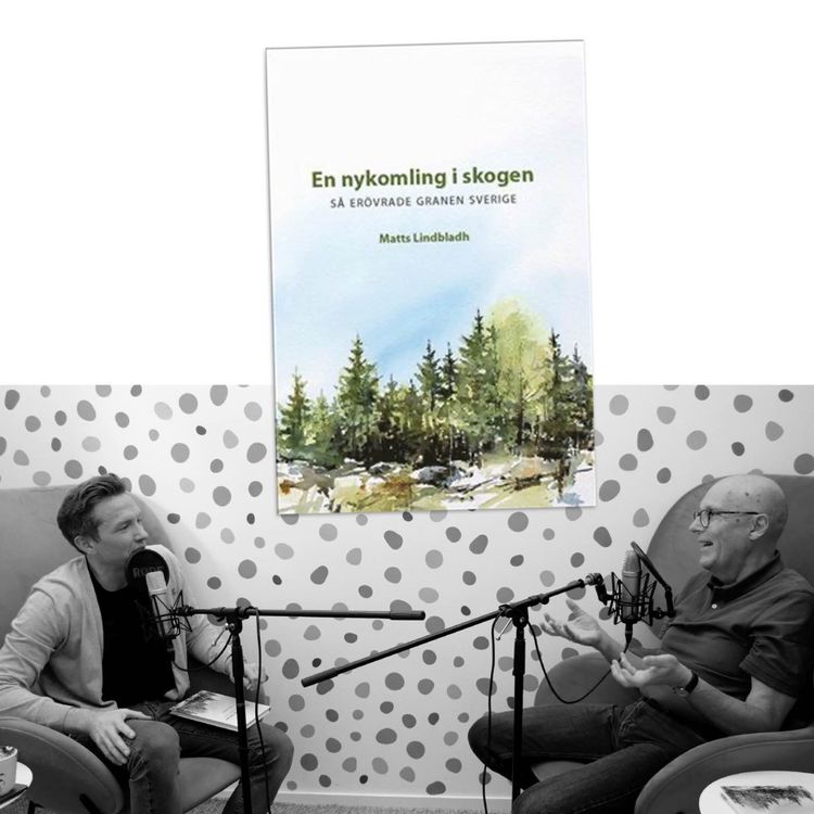 cover art for #407 Så erövrade granen Sverige, med Matts Lindbladh