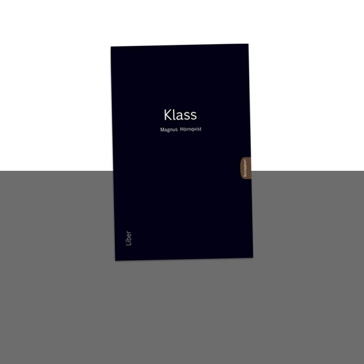 cover art for Sommarspecial: Insikter om klass med Magnus Hörnqvist