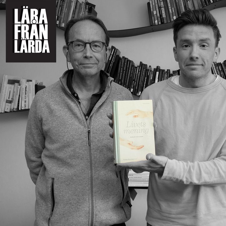 cover art for #176 Livets mening med Tomas Brytting