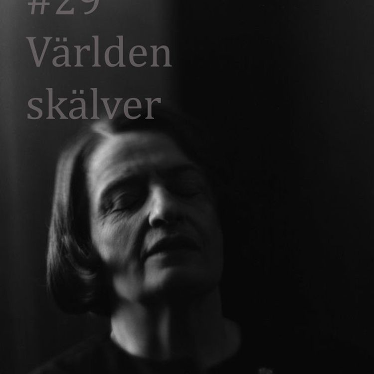 cover art for 29. Världen skälver