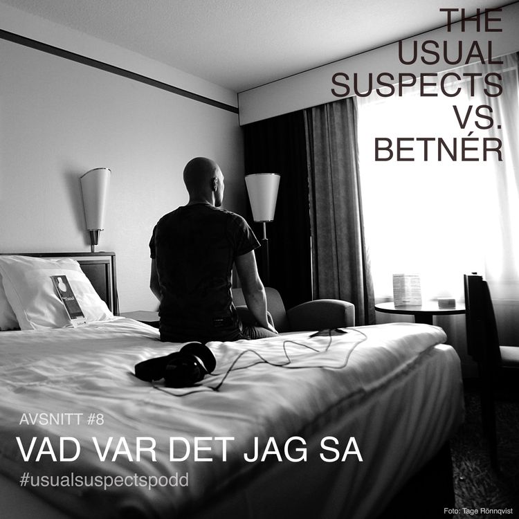 cover art for 8. Vad var det jag sa, med Magnus Betnér