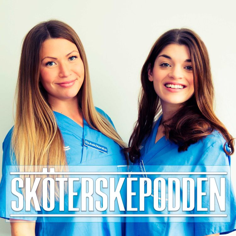 cover art for 31. Snaska kotte