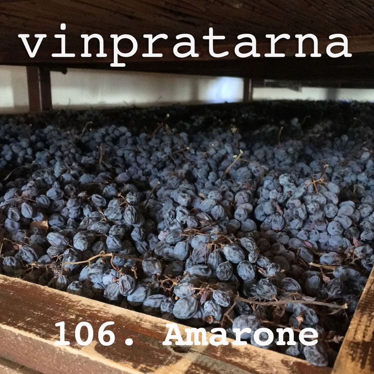 cover art for 106. Amarone