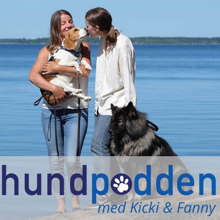 cover art for Miniavsnitt: Fem nycklar till ett harmoniskt hundliv! - 4:e nyckeln