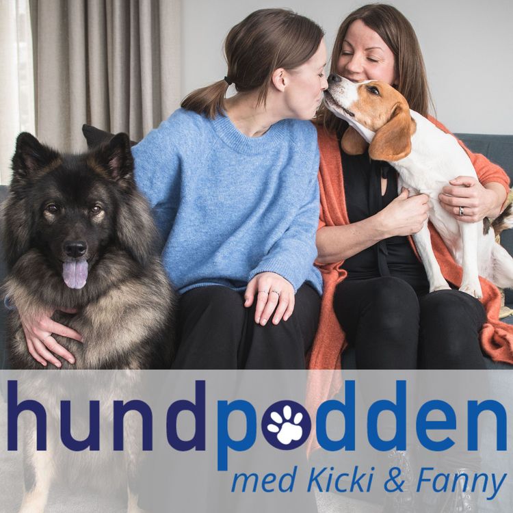 cover art for Pilotavsnitt: Lär känna hundpsykologerna Kicki & Fanny