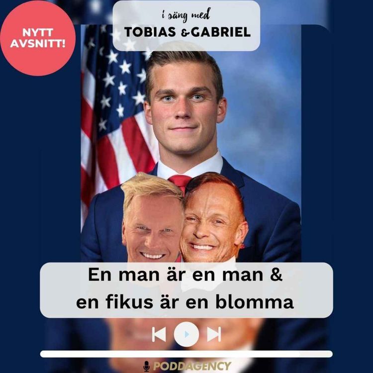 cover art for 308. En man är en man & en fikus är en fikus