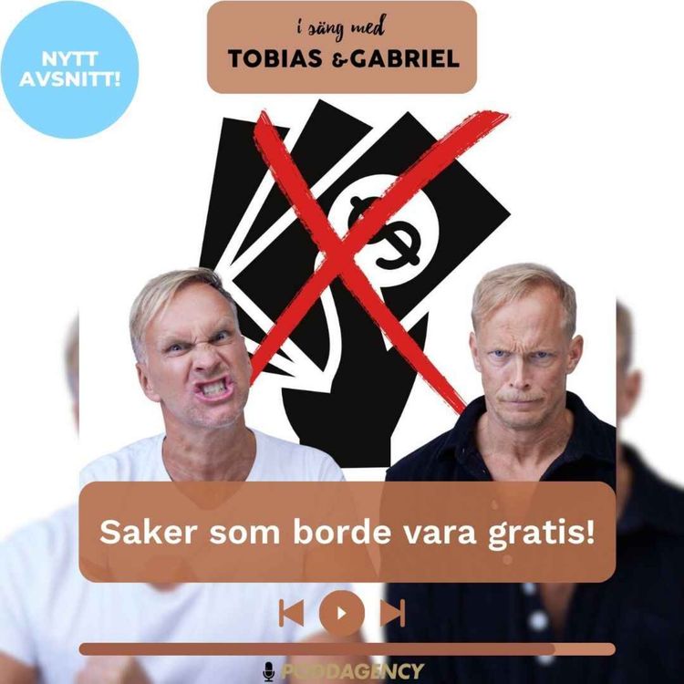 cover art for 455. Saker som borde vara gratis!