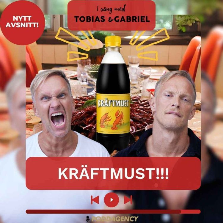 cover art for 479. KRÄFTMUST!!!