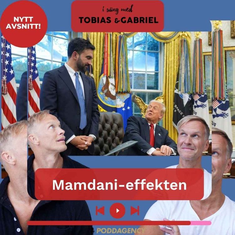 cover art for 494. Mamdani effekten