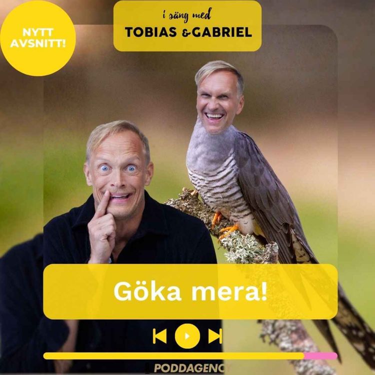 cover art for 495. Göka mera!