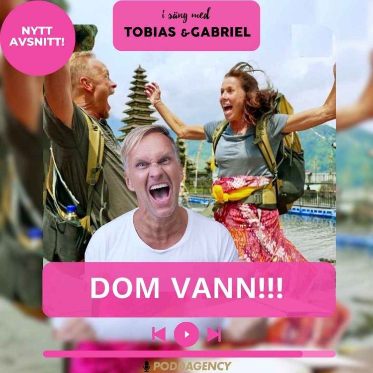 cover art for 497. Dom vann!!!