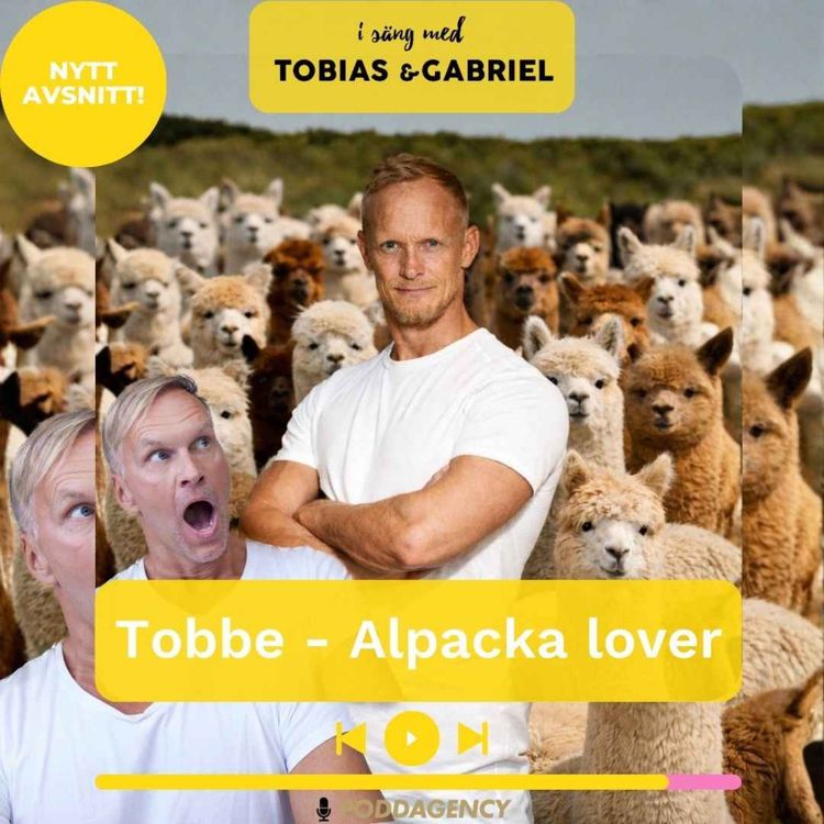 cover art for 502. Tobbe - Alpacka lover