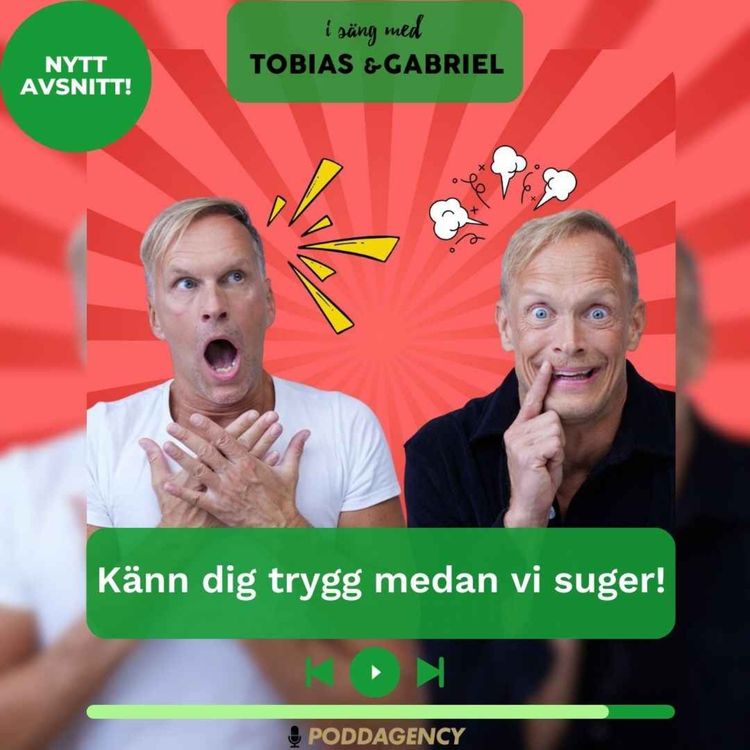 cover art for 504. Känn dig trygg medan vi suger!