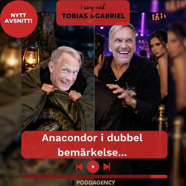 cover art for 512. Anacondor i dubbel bemärkelse