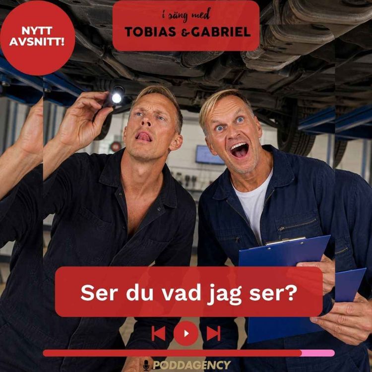 cover art for 522. Ser du vad jag ser?