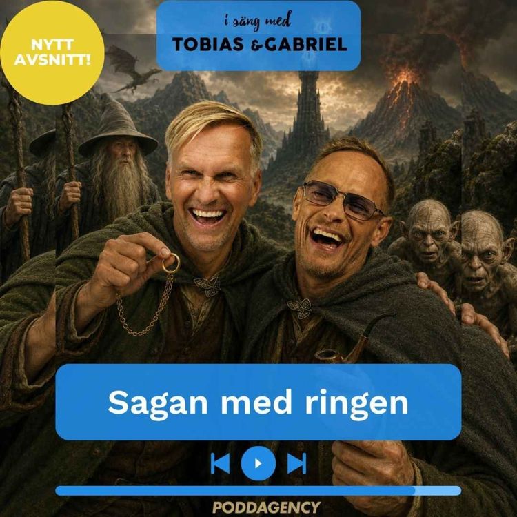 cover art for 528. Sagan med ringen
