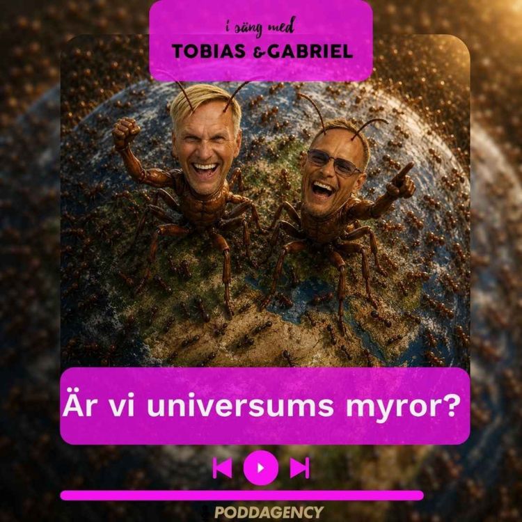 cover art for 529. Är vi universums myror?