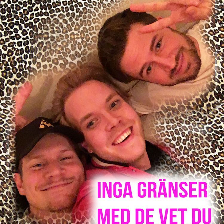 cover art for De Vet Du - om gay´s, mello och kredd