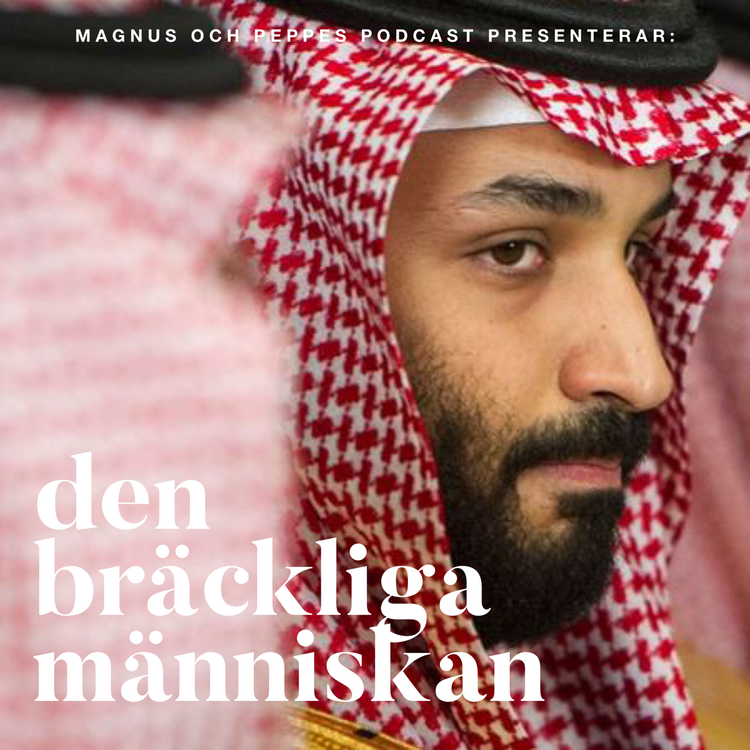 cover art for Den bräckliga människan