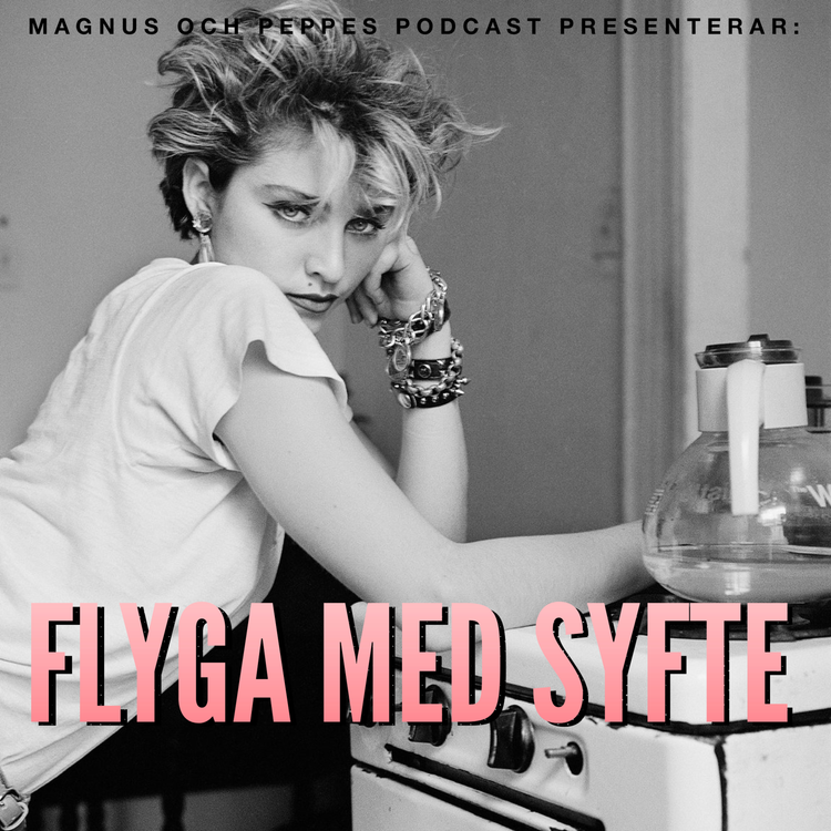 cover art for Flyga med syfte