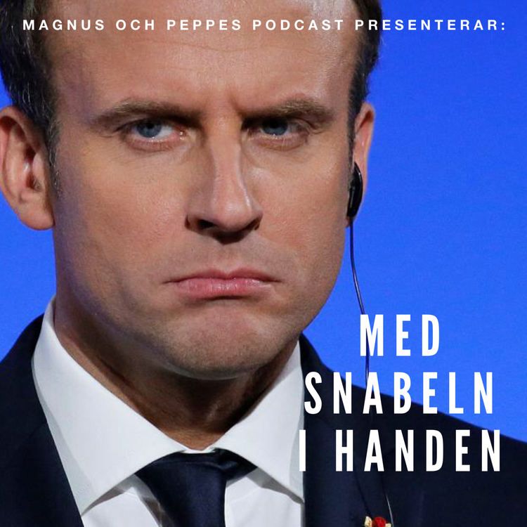 cover art for Med snabeln i handen - #167