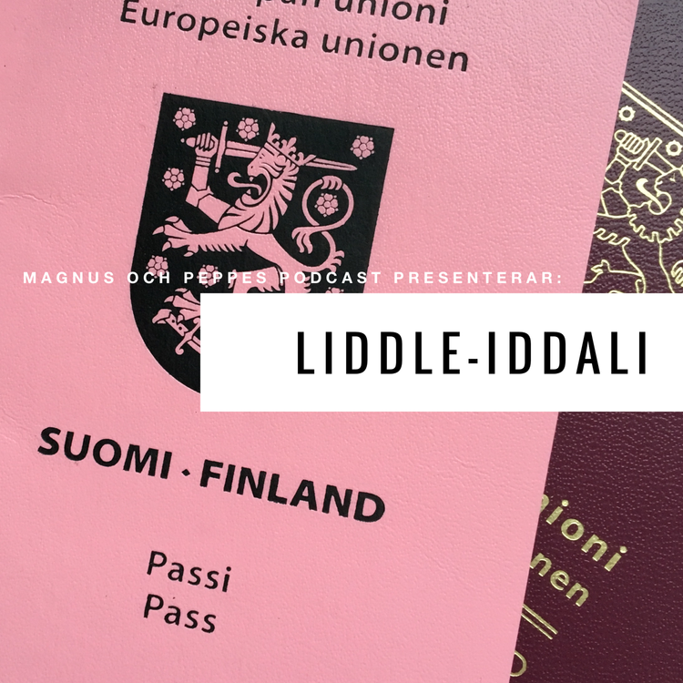 cover art for Liddle-iddali - #166