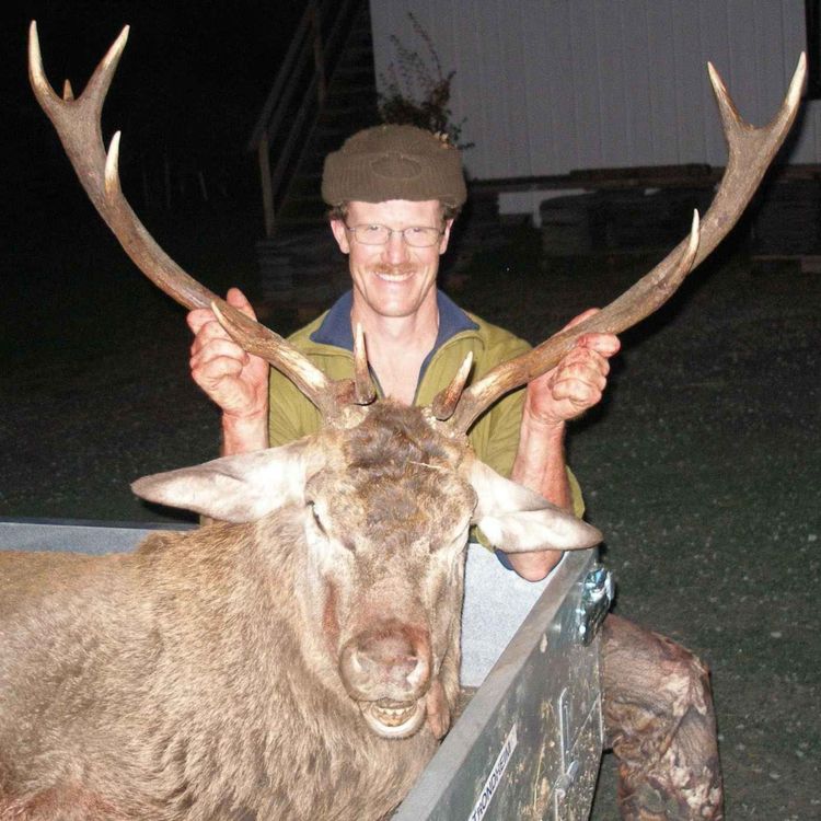 cover art for Slakting og hjort-, elg-, harejakt med Steinar Gjersvold 