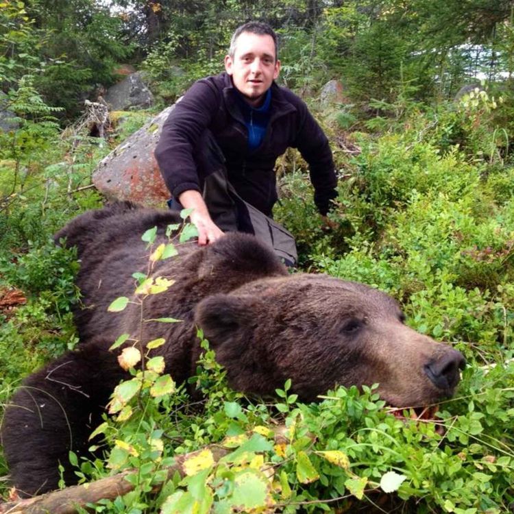 cover art for Jakt på rev, elg og bjørn med Roy Ytterdahl