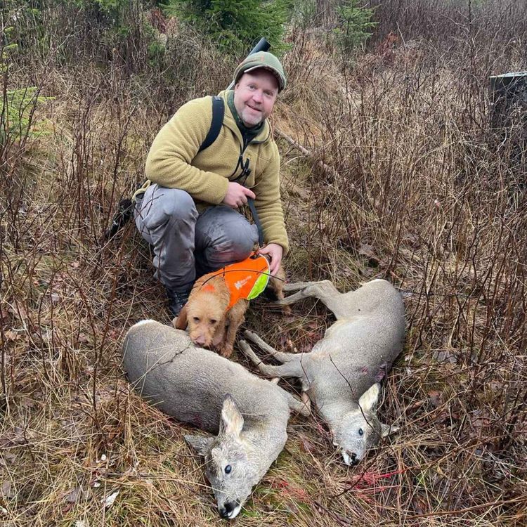 cover art for Rådyrjakt og spetsjakt med Stian Berntsen 