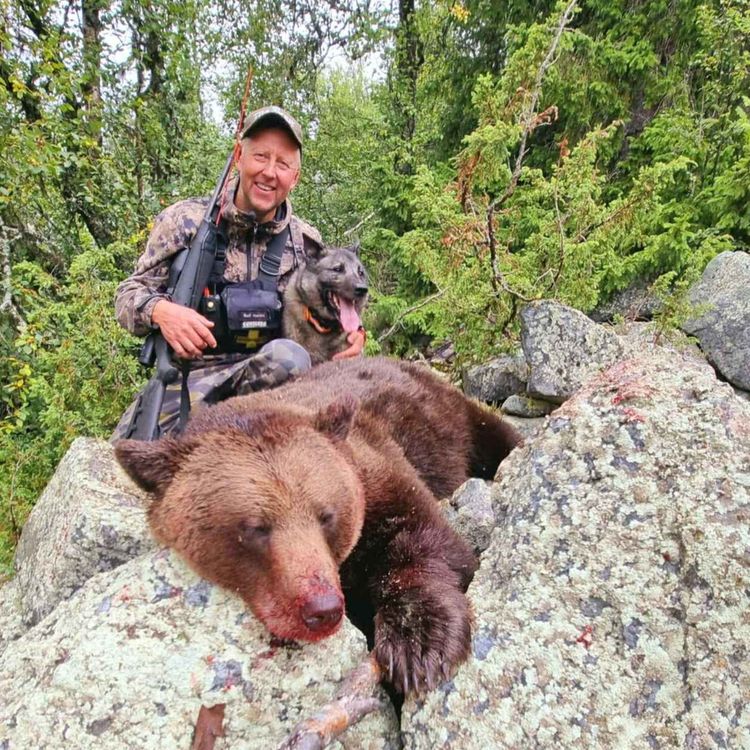 cover art for Elg, bjørn og sporarbeid med Rolf Harald "Ruffen" Østmoe