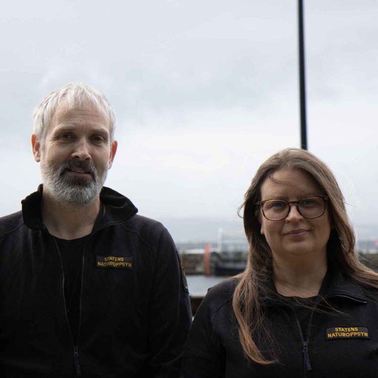 cover art for Spørsmål og svar med Morten Kjørstad og Veronica Sahlén fra SNO