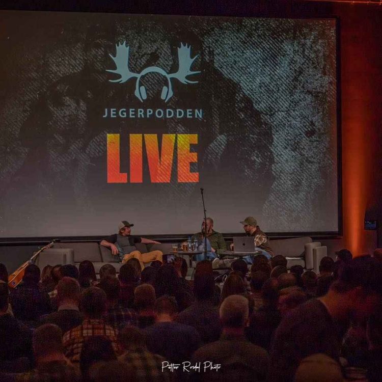 cover art for Storokse, dronetelling, tjuvjakt og sau