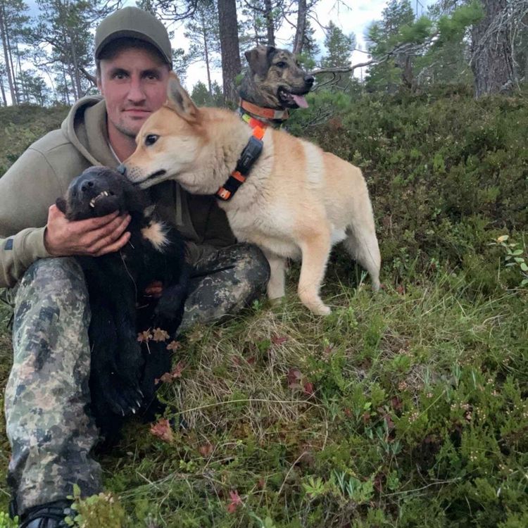 cover art for Kaste seg ut i å bli jeger med Asle Bertnzen